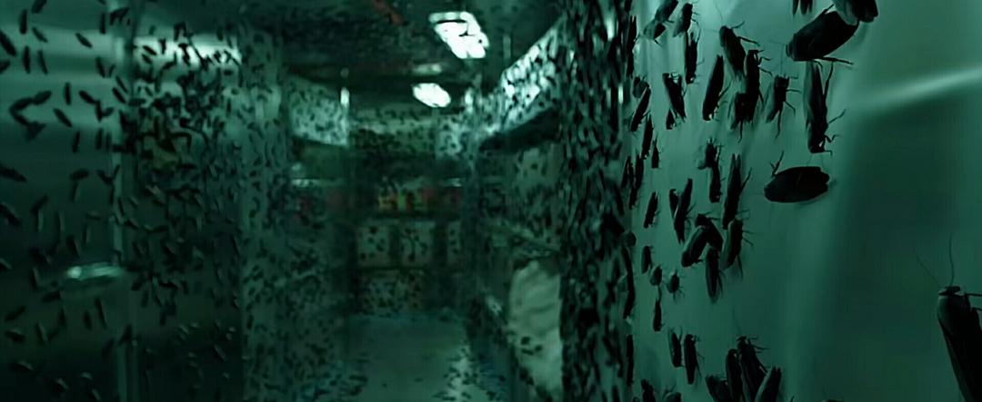 蟑潮
(2020)的剧照 蟑潮
(2020)的剧照