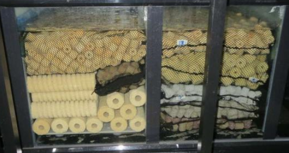 鱼缸怎么培养硝化细菌，做到这三点能快速养菌