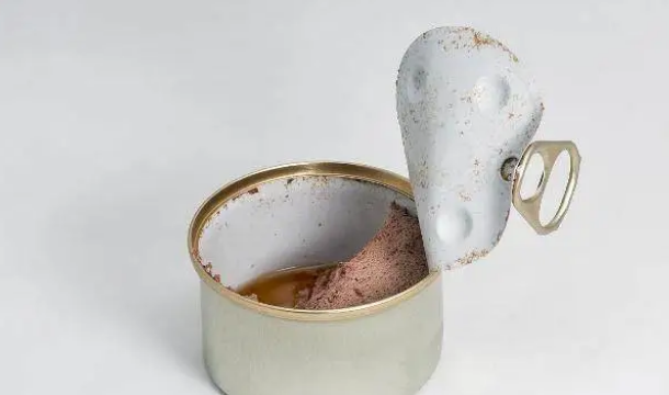 猫粮配罐头，好吃又营养？别这样喂你的猫了