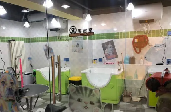 宠物加盟费多少钱