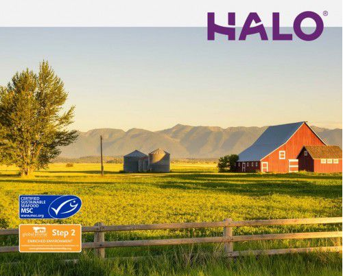 Halo自然光环中国五周年： “纯鲜肉，0肉粉” 造就软便克星