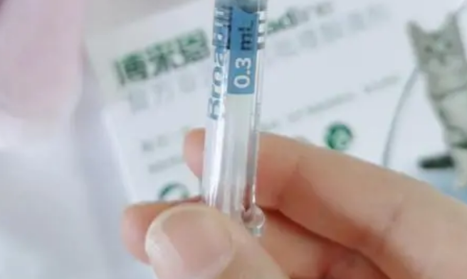 猫体外驱虫怎么做才是正确的？