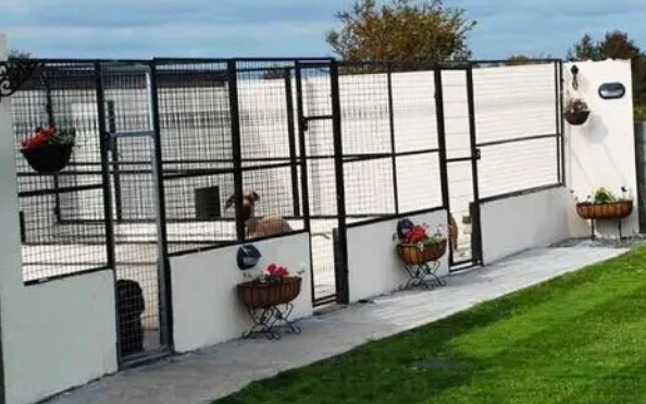 开犬舍要具备什么条件？