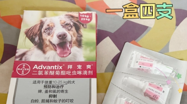 拜宠爽：请收下这份攻略，狗狗体外驱虫用什么