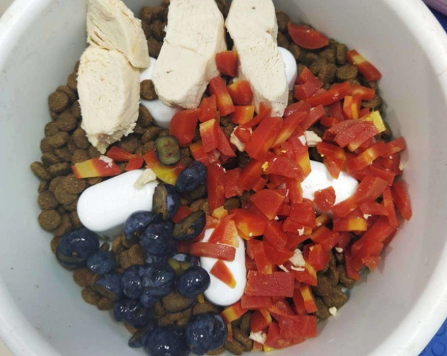 宠物寄养，到底是不是一门好生意？