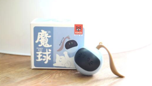 FOFOS 两只福狸 为猫主子提供“私家健身教练”