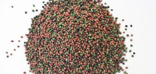 鸣禽类笼鸟的饲料要怎么调配?看完自己就会做了! 鸣禽类笼鸟的饲料要怎么调配?看完自己就会做了!