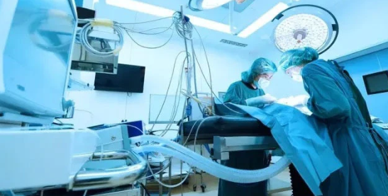 宠物医院怎么经营 宠物医院哪家好