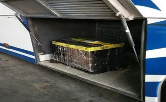 狗可以快递吗？狗狗的托运方法