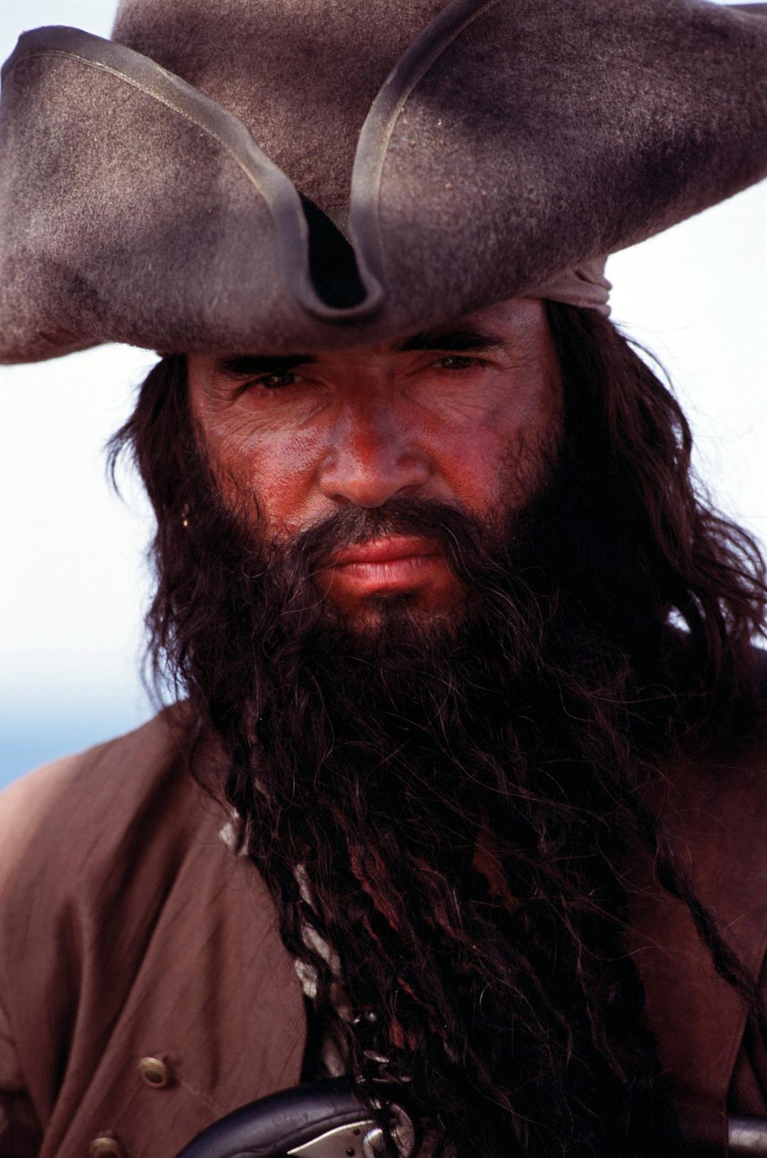 绿林好汉海盗船长黑胡子(2006)的剧照