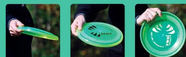 飞盘犬的详细训练，系统的从选盘到抛盘......