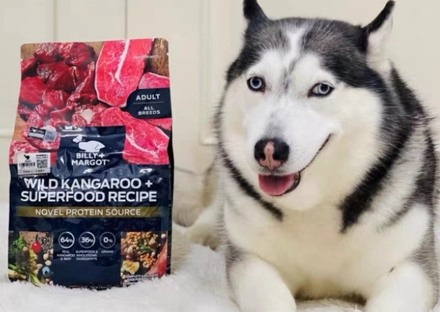 比利玛格狗粮怎样?均衡营养更贴合狗狗天性 比利玛格狗粮怎样?均衡营养更贴合狗狗天性