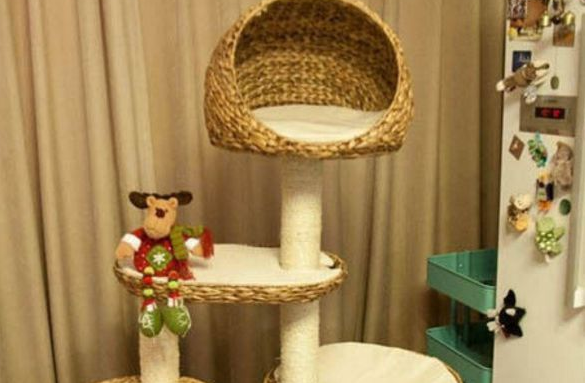 猫爬架应该怎么挑选呢？