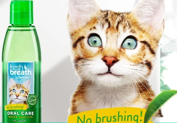 用了多美洁的洁齿水，猫咪真的可以不刷牙吗？