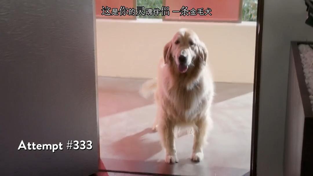 善地(2017)的剧照 善地(2017)的剧照