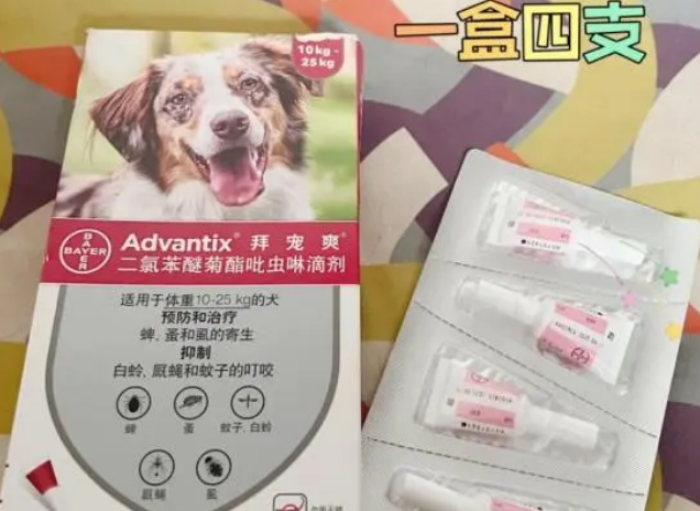 春季狗狗体外驱虫，这些知识要知道