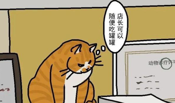 怎样挑选一家靠谱的宠物医院？