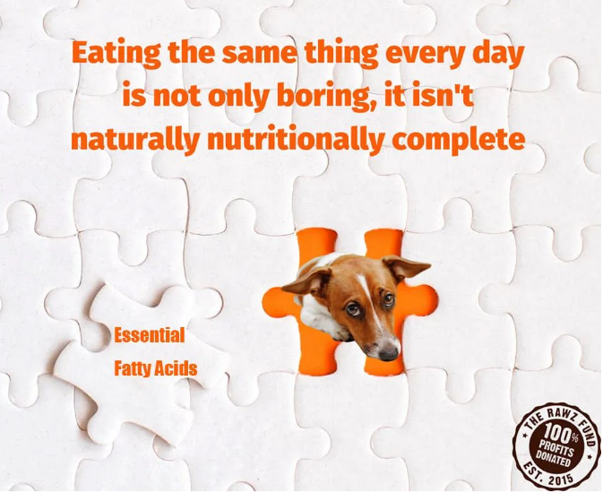 RAWZ罗斯干粮原料中的亚麻籽，对猫狗有什么好处？