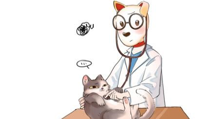 家中猫咪感冒了，能喂食人的感冒药？别让关心害了它