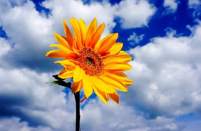 2023年8月份气温会下降吗3