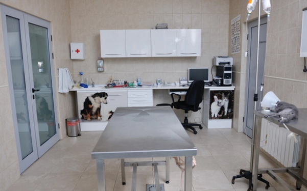 开宠物医院需要什么条件