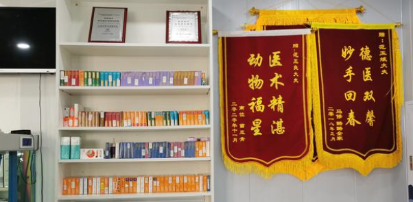 什么样的宠物医院才靠谱？这几个指标可以参考！