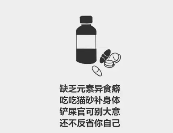 分分钟了解宠物知识——为什么猫会吃猫砂