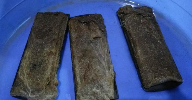 鱼缸水质要想调理到最清澈的状态，我们可以参考四种方法！