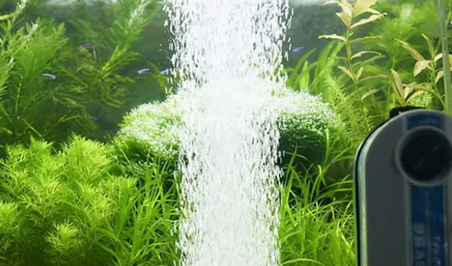 怎么保证鱼缸里的溶氧量？用增氧泵，详解关于增氧泵的那些事