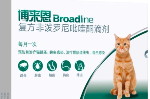 猫体内驱虫有什么注意事项你真的知道吗？
