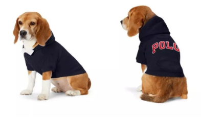 给宠物买衣服，你舍得花多少钱？