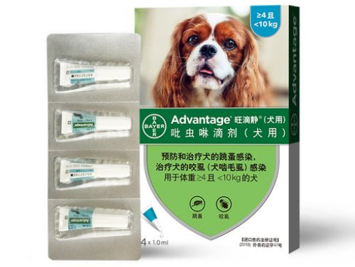 旺滴静专业狗狗体外驱虫,告别跳蚤烦恼 旺滴静专业狗狗体外驱虫,告别跳蚤烦恼