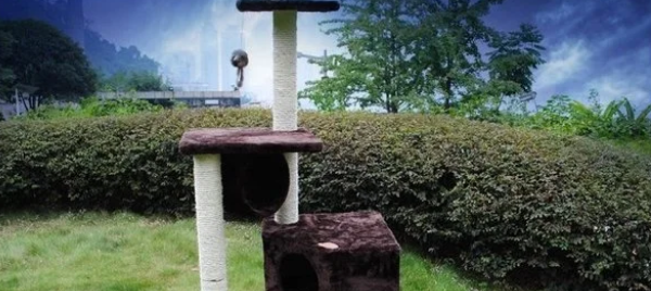 怎么自制猫爬架