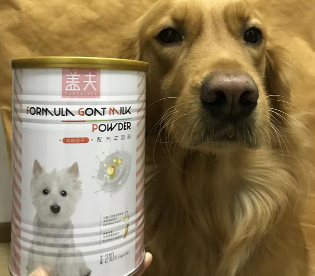 盖夫羊奶粉，来自金毛小七的试用报告 