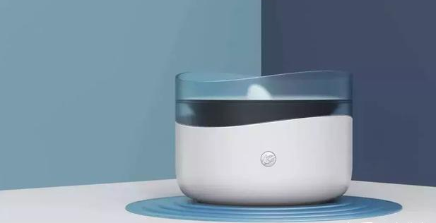 行业首套主题猫咪用品，好命天生能否成为“黑马”？