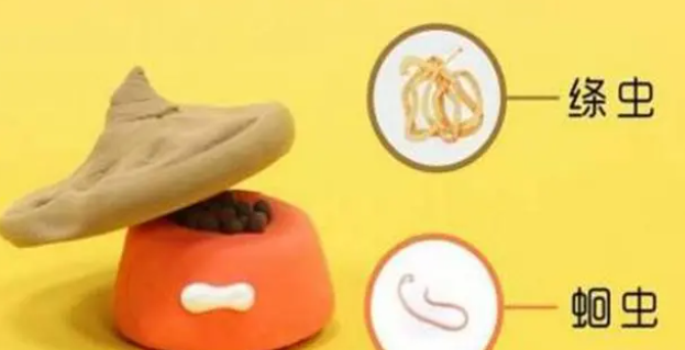 如何给3个月的小狗体内驱虫